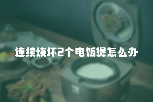 連續(xù)燒壞2個電飯煲怎么辦