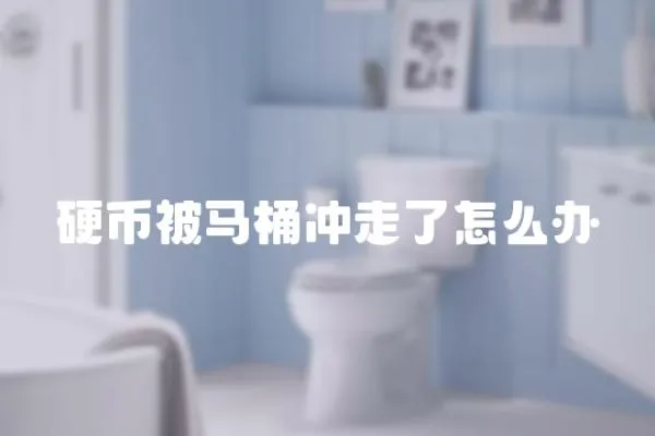 硬幣被馬桶沖走了怎么辦