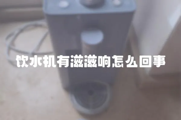 飲水機有滋滋響怎么回事