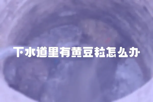 下水道里有黃豆粒怎么辦
