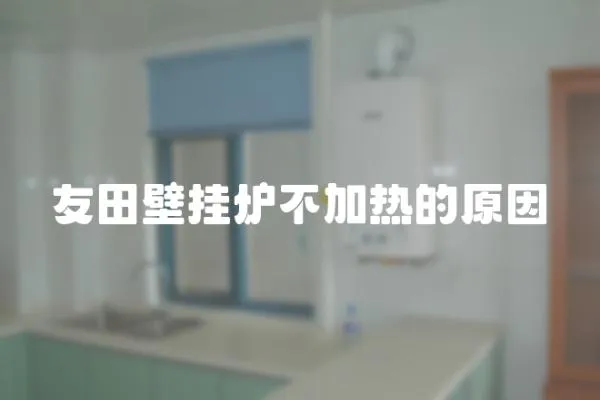 友田壁掛爐不加熱的原因