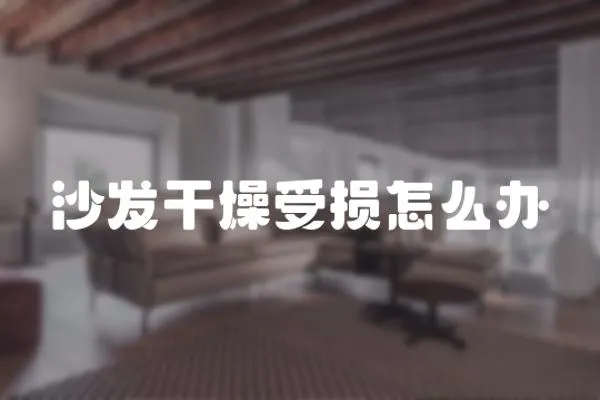 沙發干燥受損怎么辦