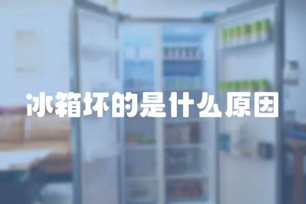 冰箱壞的是什么原因