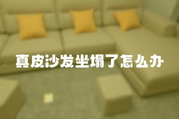 真皮沙發坐塌了怎么辦