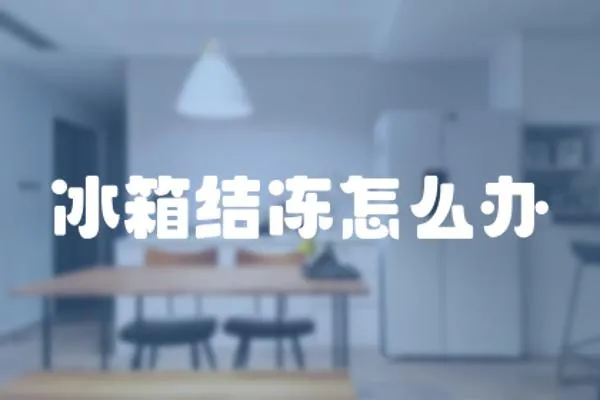 冰箱結(jié)凍怎么辦