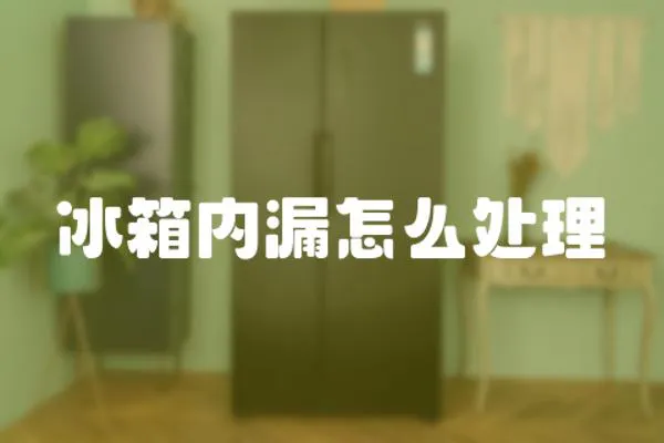冰箱內漏怎么處理