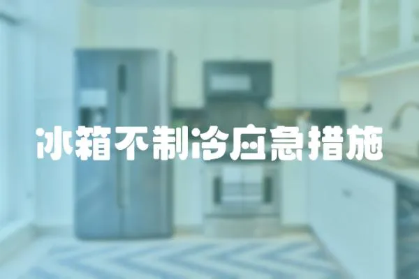 冰箱不制冷應急措施