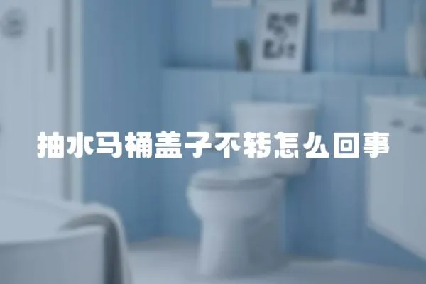 抽水馬桶蓋子不轉(zhuǎn)怎么回事