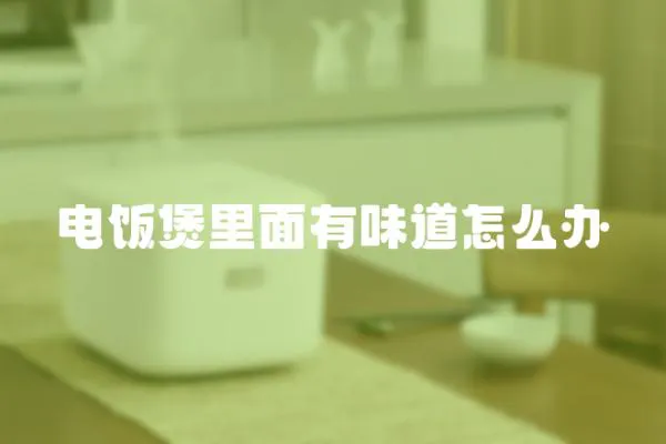 電飯煲里面有味道怎么辦