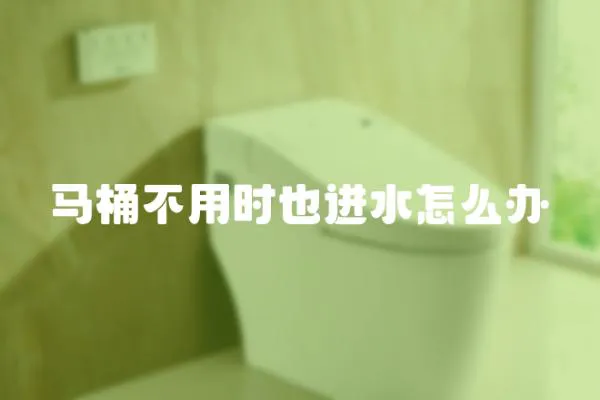 馬桶不用時也進(jìn)水怎么辦