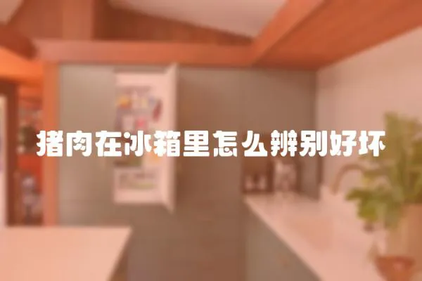 豬肉在冰箱里怎么辨別好壞