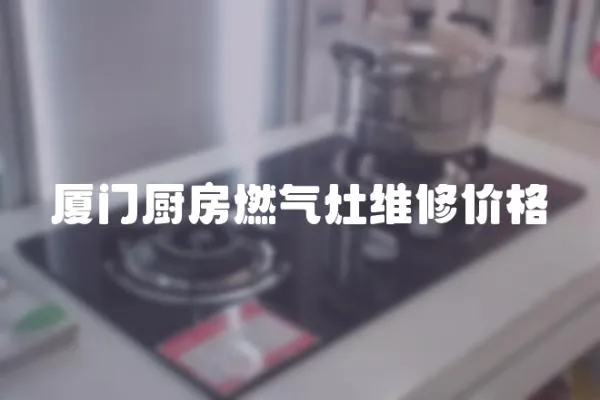 廈門廚房燃?xì)庠罹S修價(jià)格