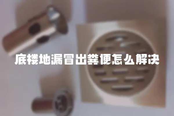 底樓地漏冒出糞便怎么解決