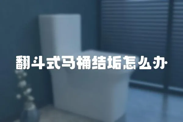 翻斗式馬桶結垢怎么辦