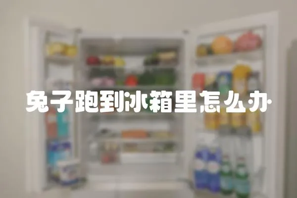 兔子跑到冰箱里怎么辦
