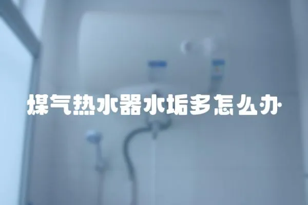 煤氣熱水器水垢多怎么辦