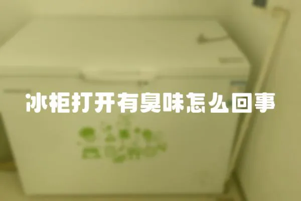 冰柜打開有臭味怎么回事