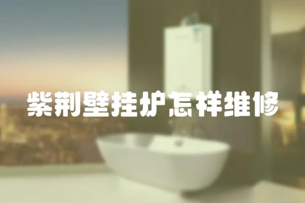 紫荊壁掛爐怎樣維修