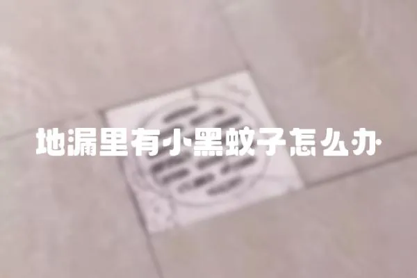 地漏里有小黑蚊子怎么辦