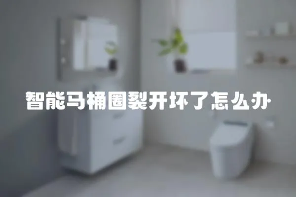 智能馬桶圈裂開壞了怎么辦