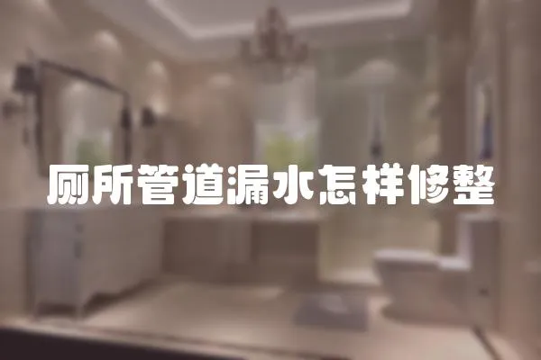 廁所管道漏水怎樣修整