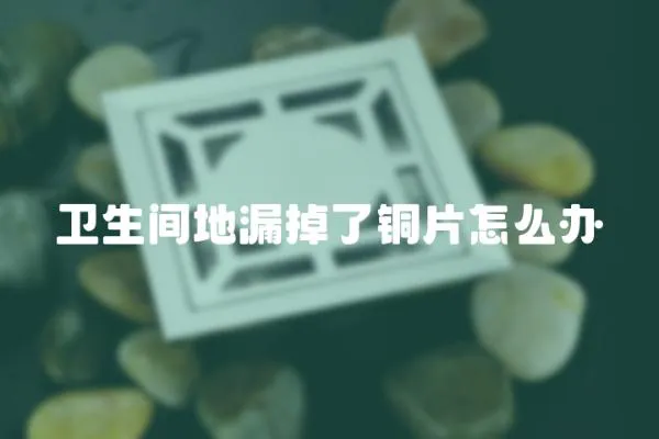 衛生間地漏掉了銅片怎么辦