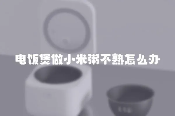 電飯煲做小米粥不熟怎么辦