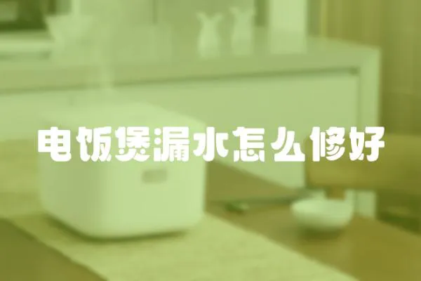 電飯煲漏水怎么修好