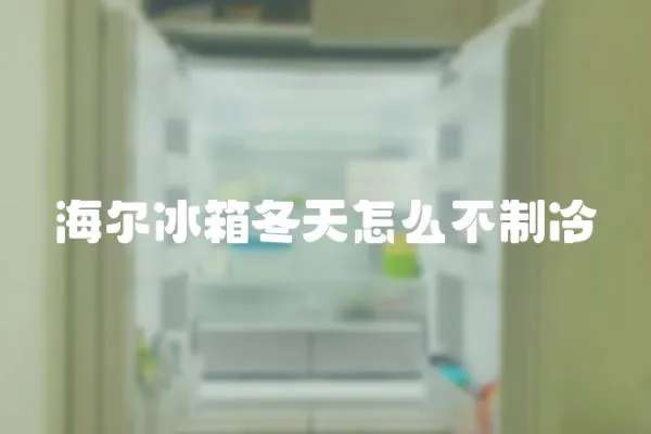 海爾冰箱冬天怎么不制冷
