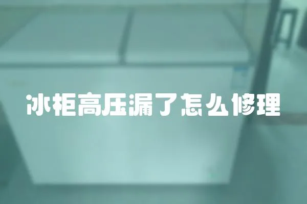 冰柜高壓漏了怎么修理