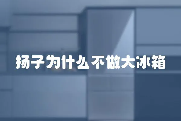 揚子為什么不做大冰箱