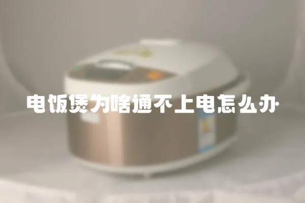 電飯煲為啥通不上電怎么辦