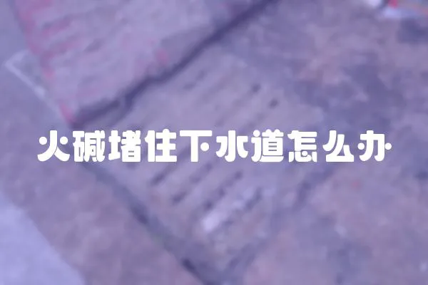 火堿堵住下水道怎么辦