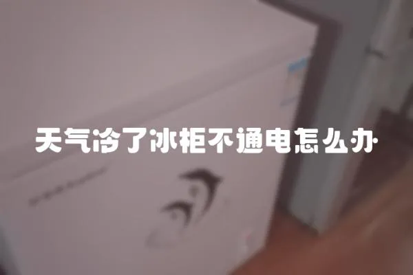 天氣冷了冰柜不通電怎么辦