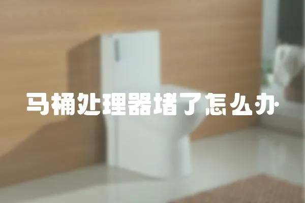 馬桶處理器堵了怎么辦