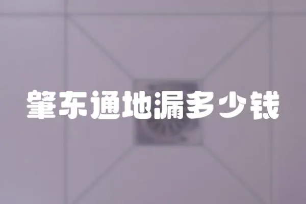 肇東通地漏多少錢