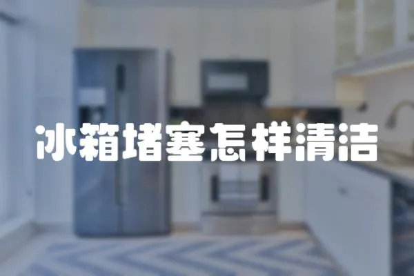 冰箱堵塞怎樣清潔