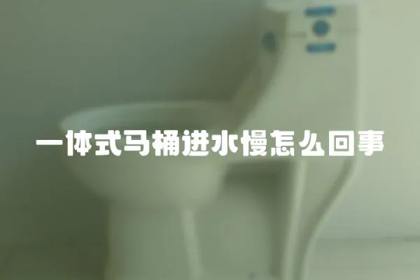 一體式馬桶進(jìn)水慢怎么回事