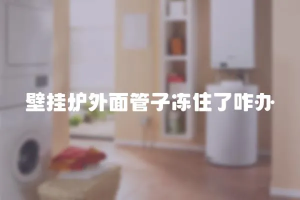 壁掛爐外面管子凍住了咋辦