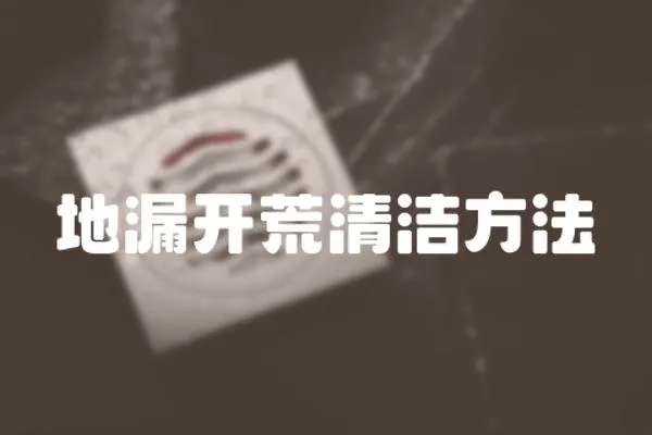 地漏開荒清潔方法