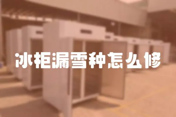 冰柜漏雪種怎么修