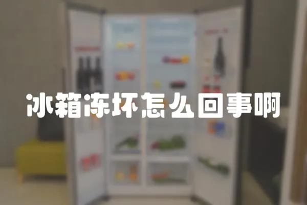 冰箱凍壞怎么回事啊