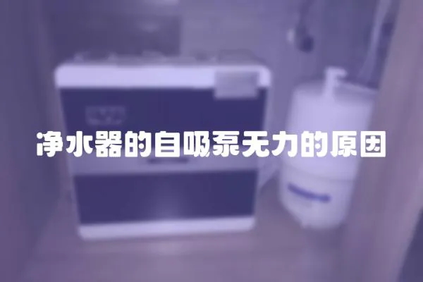 凈水器的自吸泵無力的原因