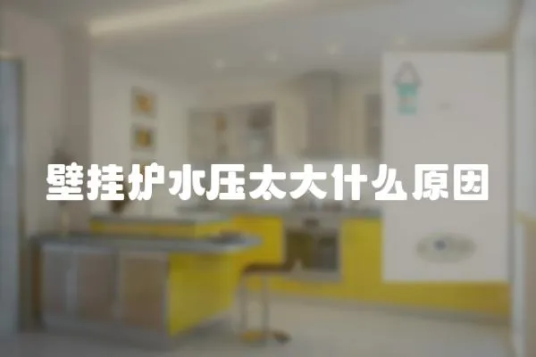 壁掛爐水壓太大什么原因