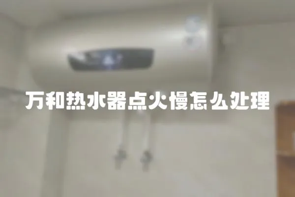 萬和熱水器點火慢怎么處理