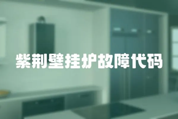 紫荊壁掛爐故障代碼