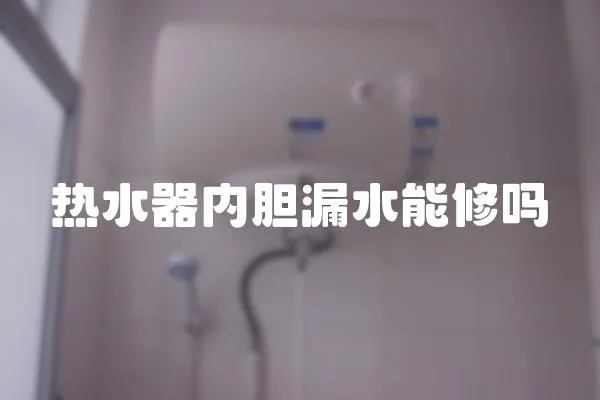 熱水器內膽漏水能修嗎