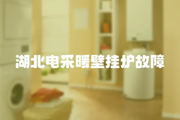 湖北電采暖壁掛爐故障