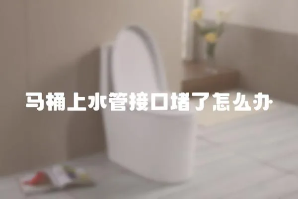 馬桶上水管接口堵了怎么辦