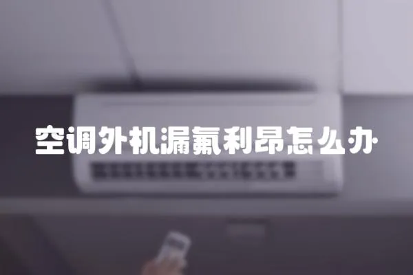 空調(diào)外機(jī)漏氟利昂怎么辦